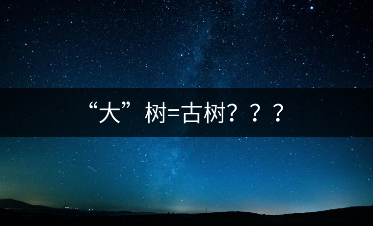 “大”樹=古樹？？？