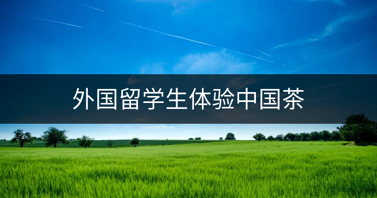 外國(guó)留學(xué)生體驗(yàn)中國(guó)茶