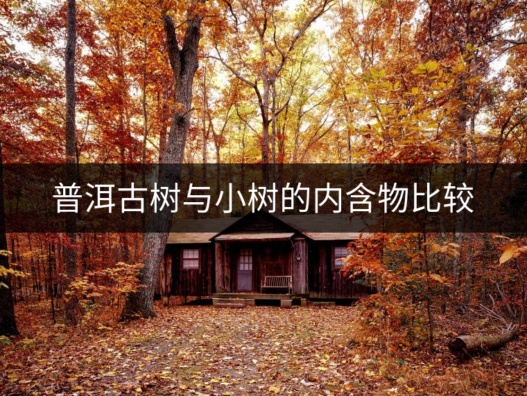 普洱古樹(shù)與小樹(shù)的內(nèi)含物比較