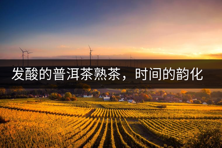 發(fā)酸的普洱茶熟茶，時(shí)間的韻化會(huì)讓它驚艷無(wú)比！