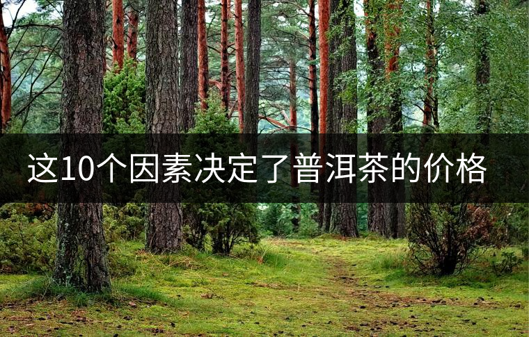 這10個因素決定了普洱茶的價格？