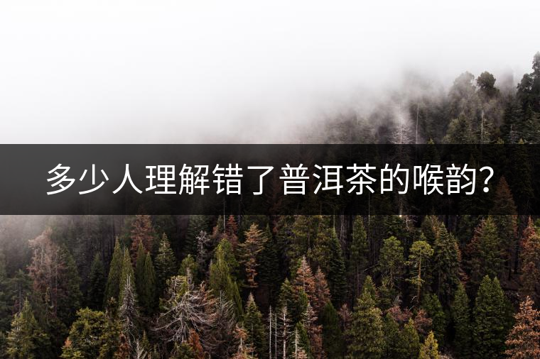 多少人理解錯(cuò)了普洱茶的喉韻？