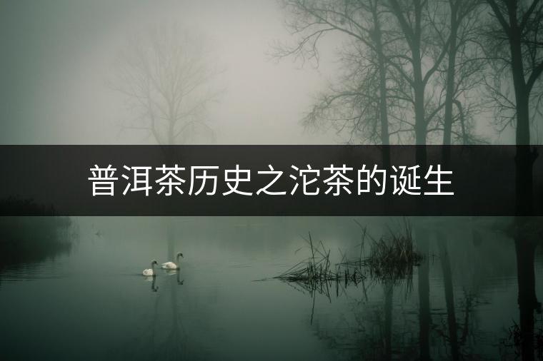 普洱茶歷史之沱茶的誕生 普洱茶歷史之沱茶的誕生