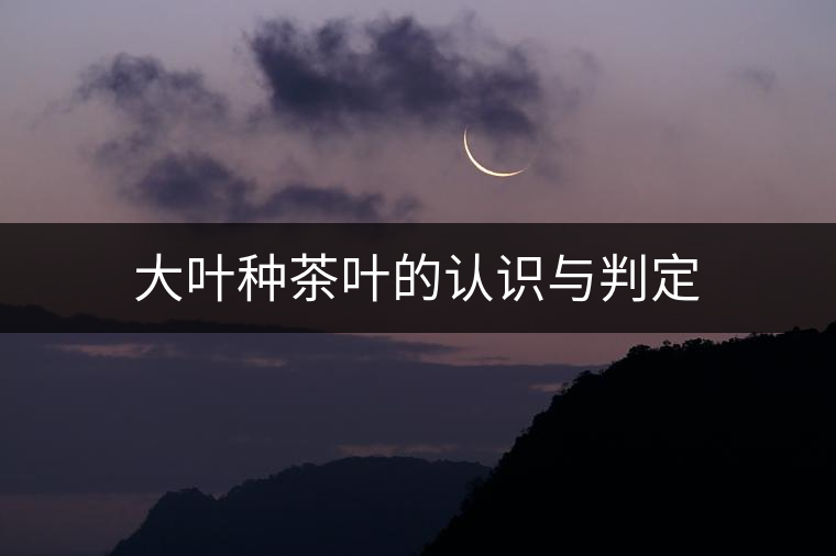 大葉種茶葉的認(rèn)識與判定 大葉種茶葉的認(rèn)識與判定