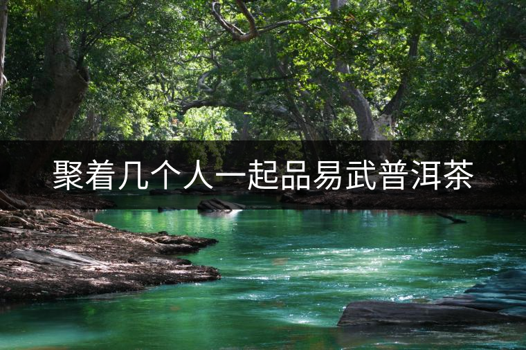 聚著幾個人一起品易武普洱茶