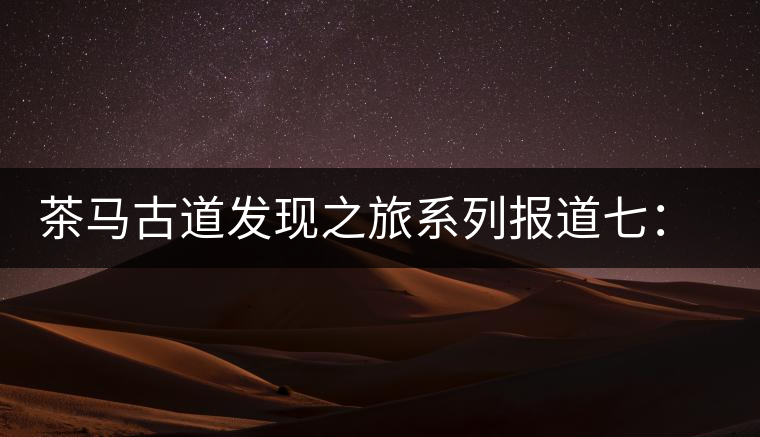 茶馬古道發(fā)現(xiàn)之旅系列報道七：漢藏血脈普洱路