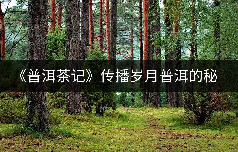 《普洱茶記》傳播歲月普洱的秘香 《普洱茶記》傳播歲月普洱的秘香