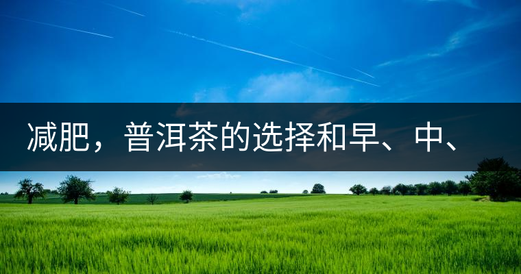 減肥，普洱茶的選擇和早、中、晚的喝法