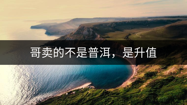 哥賣的不是普洱，是升值