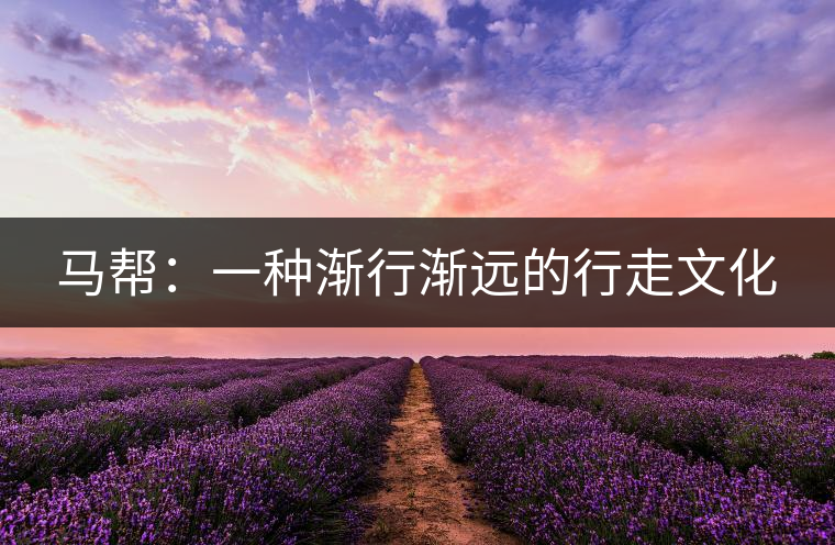 馬幫：一種漸行漸遠(yuǎn)的行走文化