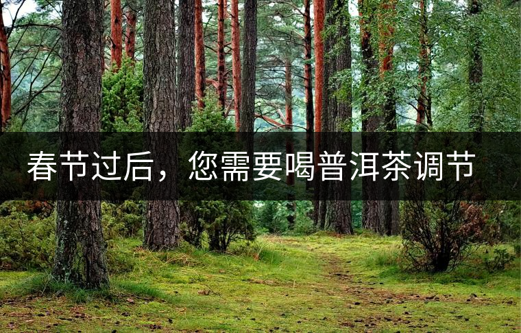春節(jié)過后，您需要喝普洱茶調(diào)節(jié)身體