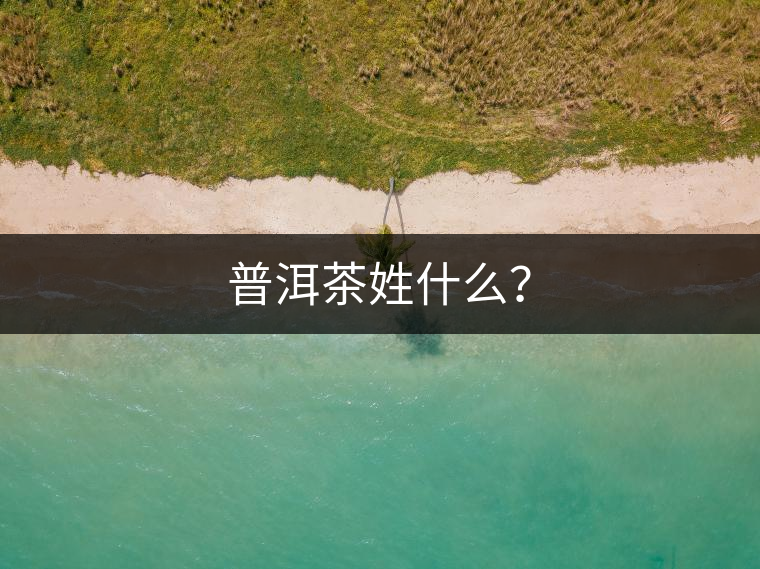 普洱茶姓什么？