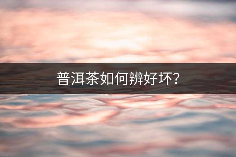 普洱茶如何辨好壞？