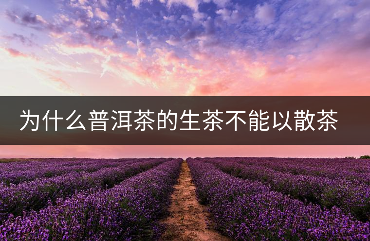 為什么普洱茶的生茶不能以散茶的方式存放
