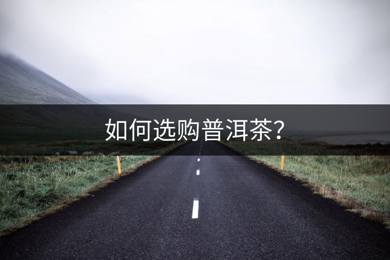 如何選購普洱茶？