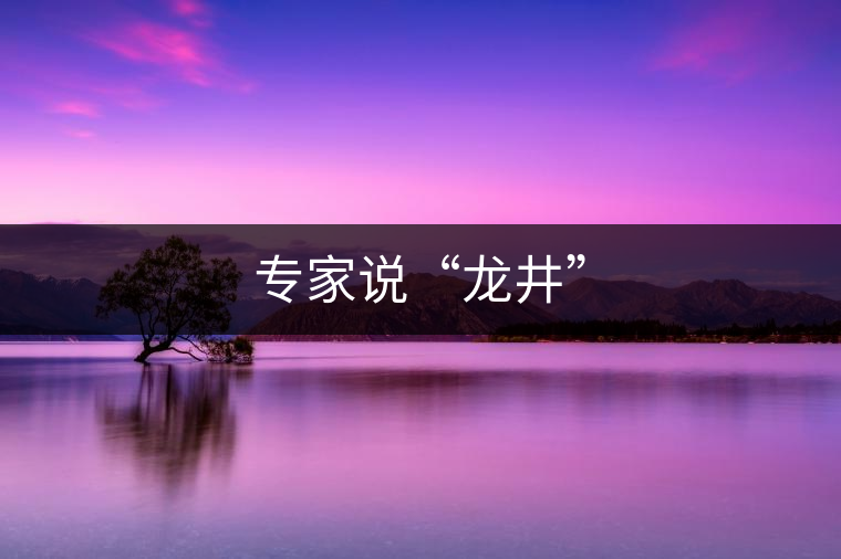 專家說“龍井”