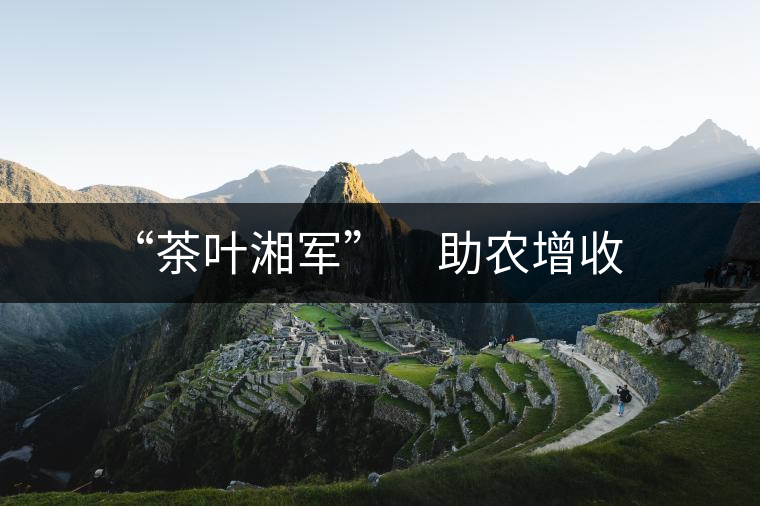 “茶葉湘軍” 助農(nóng)增收 “茶葉湘軍” 助農(nóng)增收