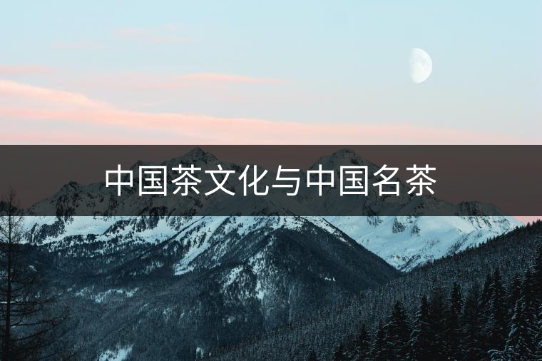 中國(guó)茶文化與中國(guó)名茶 中國(guó)茶文化與中國(guó)名茶