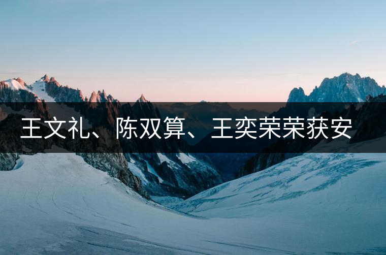 王文禮、陳雙算、王奕榮榮獲安溪茶界三杰
