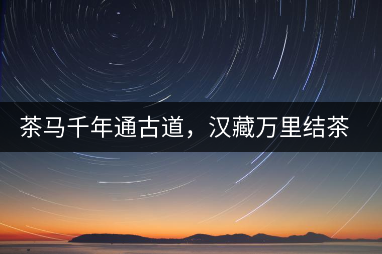 茶馬千年通古道，漢藏萬里結茶緣