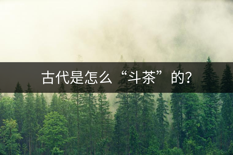 古代是怎么“斗茶”的？