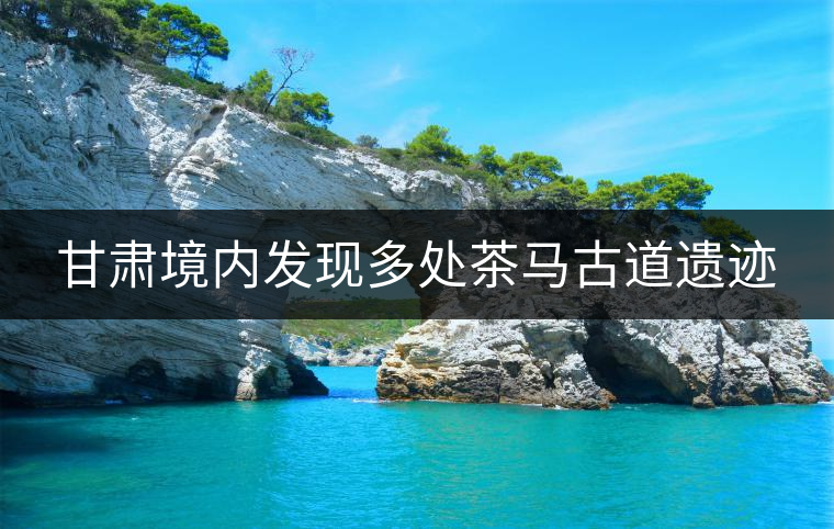 甘肅境內(nèi)發(fā)現(xiàn)多處茶馬古道遺跡 甘肅境內(nèi)發(fā)現(xiàn)多處茶馬古道遺跡