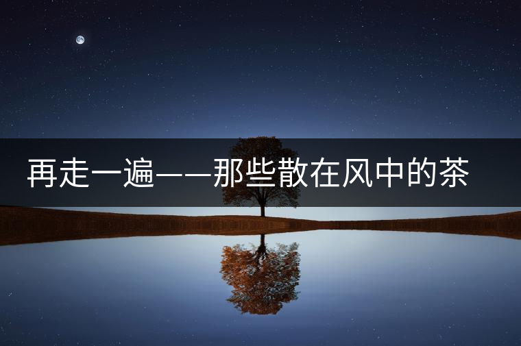 再走一遍——那些散在風中的茶馬路 再走一遍——那些散在風中的茶馬路