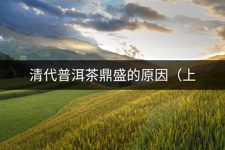 清代普洱茶鼎盛的原因（上