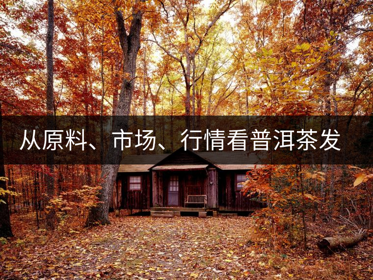 從原料、市場、行情看普洱茶發(fā)展大勢