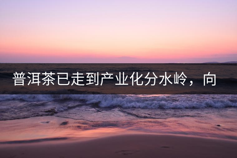 普洱茶已走到產(chǎn)業(yè)化分水嶺，向左還是向右？