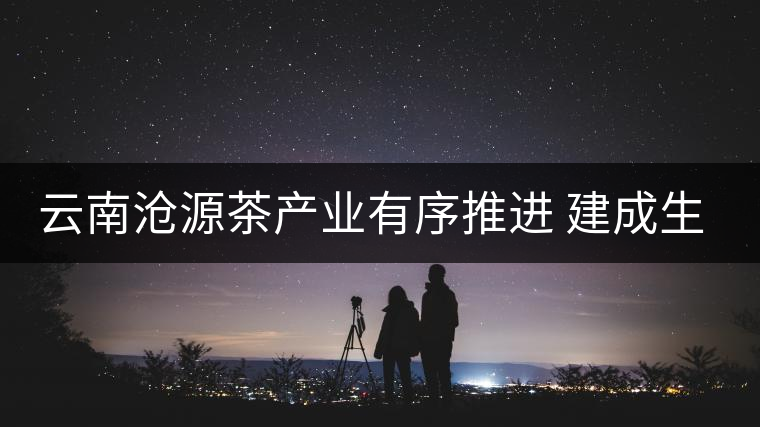 云南滄源茶產(chǎn)業(yè)有序推進(jìn) 建成生態(tài)茶園近15萬畝