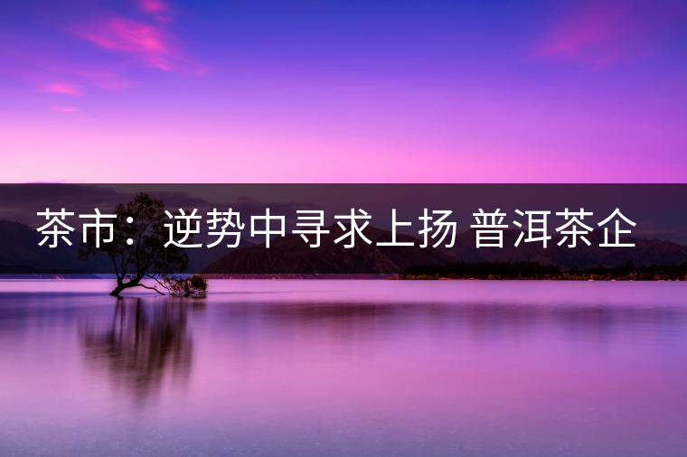 茶市：逆勢(shì)中尋求上揚(yáng) 普洱茶企靠什么打贏這場(chǎng)翻身仗？