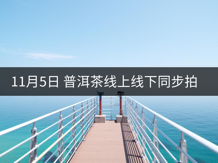 11月5日 普洱茶線上線下同步拍賣