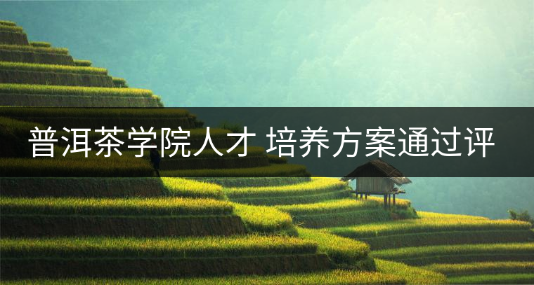 普洱茶學(xué)院人才 培養(yǎng)方案通過評審