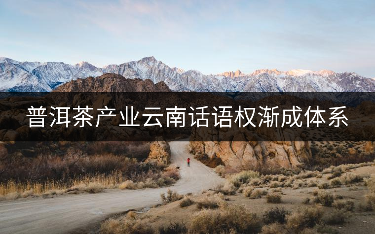 普洱茶產(chǎn)業(yè)云南話語權漸成體系