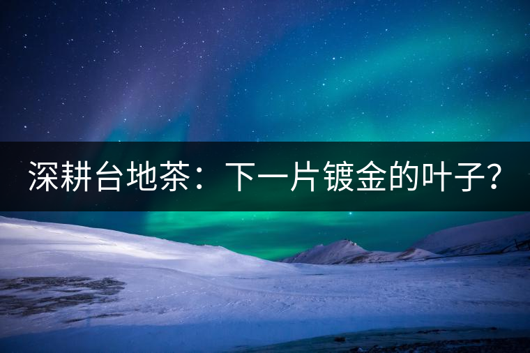 深耕臺地茶：下一片鍍金的葉子？