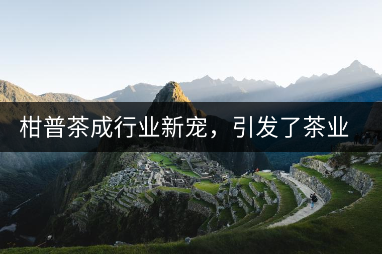 柑普茶成行業(yè)新寵，引發(fā)了茶業(yè)市場新的機(jī)遇與爆點