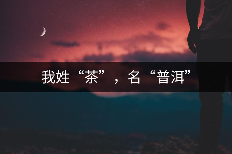 我姓“茶”，名“普洱”