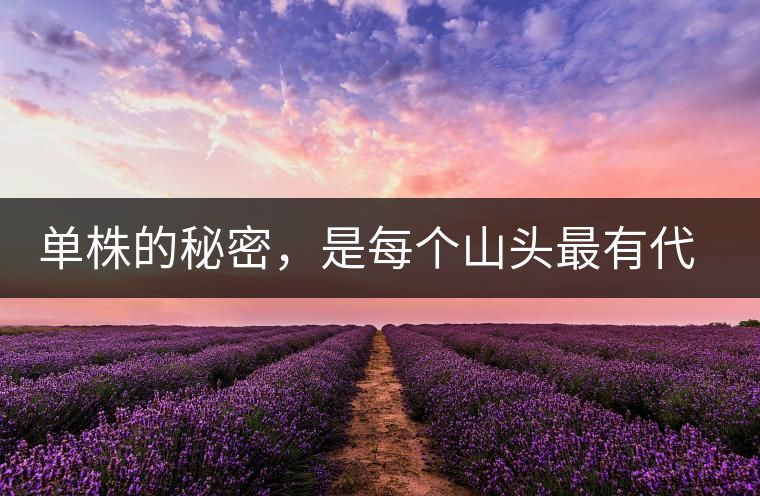 單株的秘密，是每個(gè)山頭最有代表性的味道？