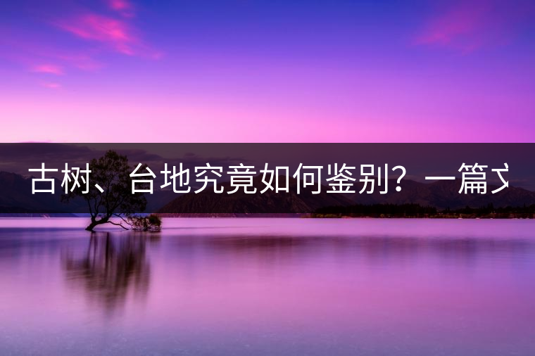 古樹、臺(tái)地究竟如何鑒別？一篇文章說透！