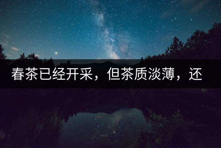 春茶已經(jīng)開采，但茶質(zhì)淡薄，還需一兩周