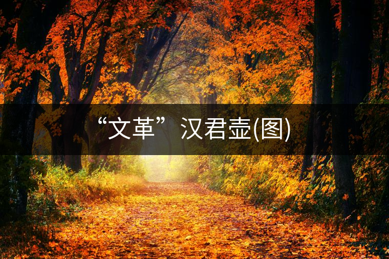 “文革”漢君壺(圖)