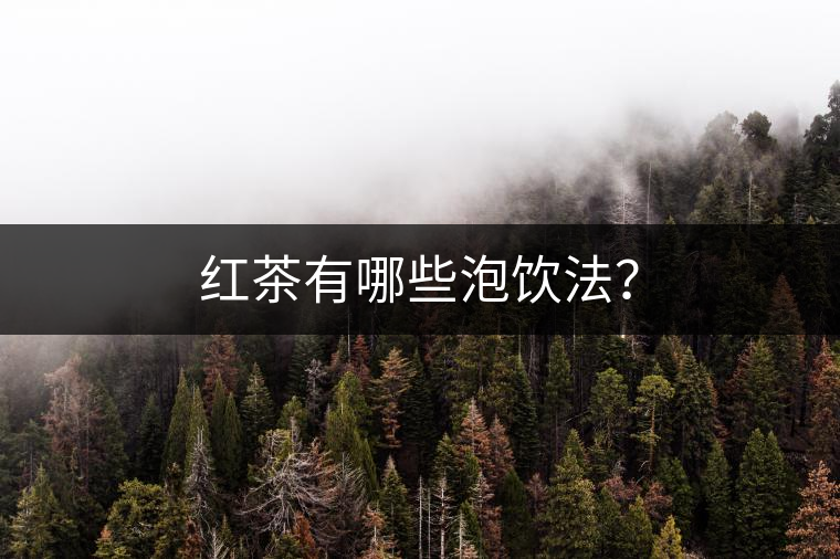 紅茶有哪些泡飲法？