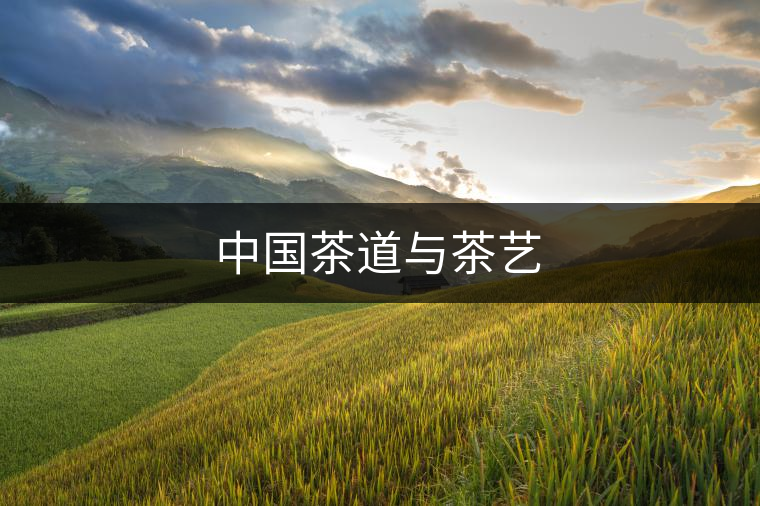 中國茶道與茶藝 中國茶道與茶藝