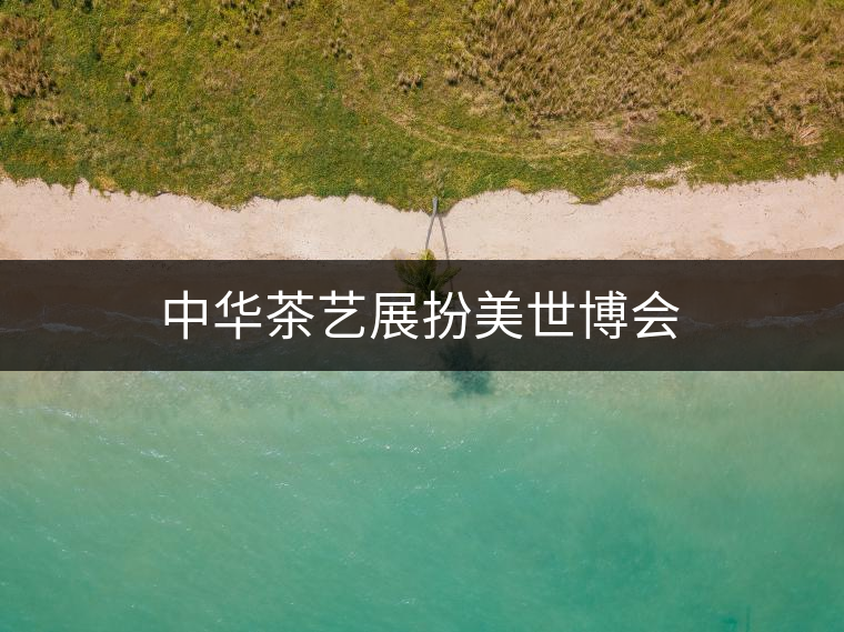中華茶藝展扮美世博會(huì)
