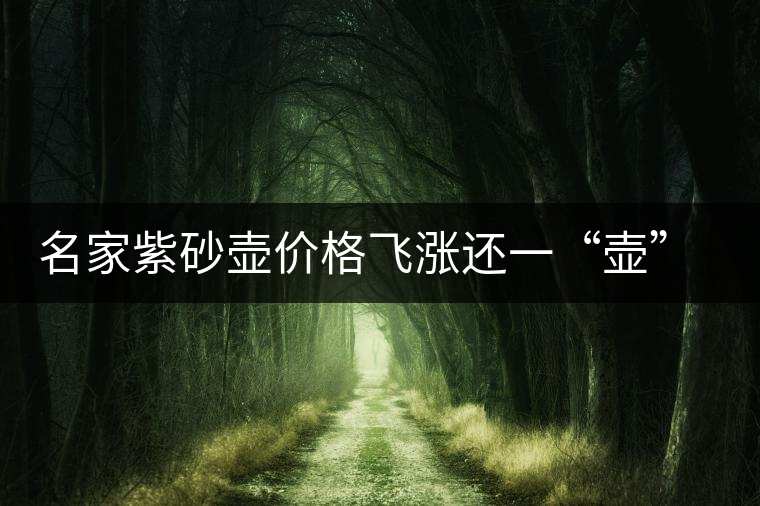 名家紫砂壺價(jià)格飛漲還一“壺”難求