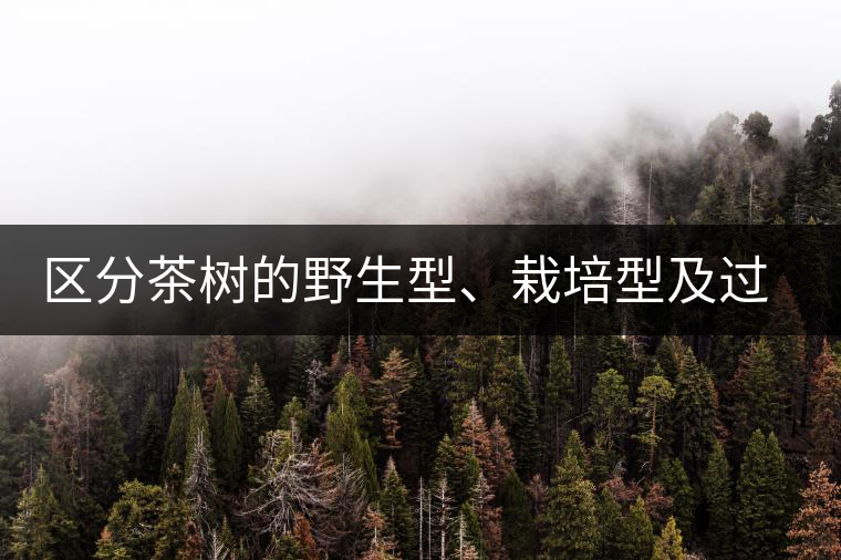 區(qū)分茶樹的野生型、栽培型及過渡型