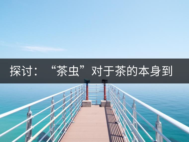 探討：“茶蟲”對于茶的本身到底是好是壞？
