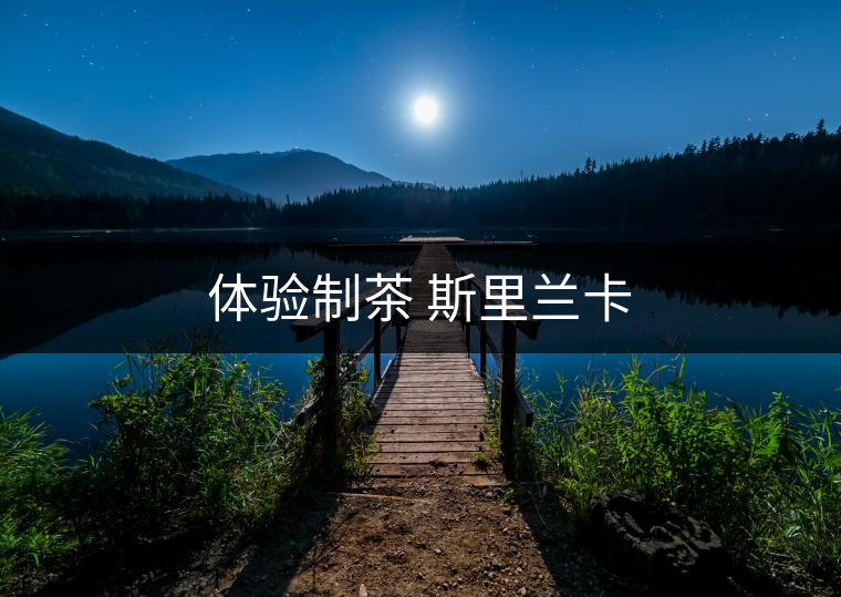 體驗制茶 斯里蘭卡