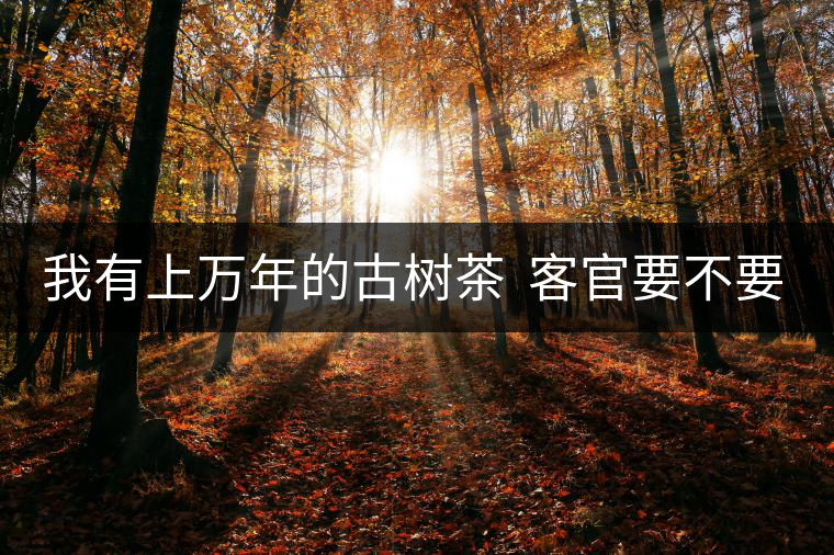我有上萬(wàn)年的古樹茶  客官要不要嘗嘗？